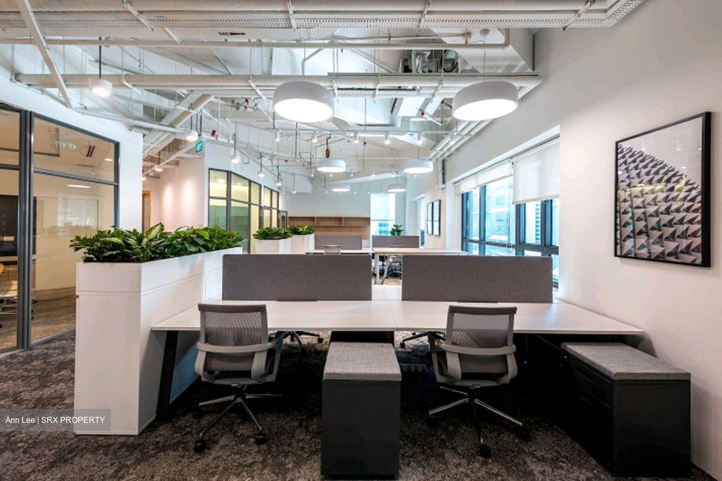 PLUS (D1), Office #559336471